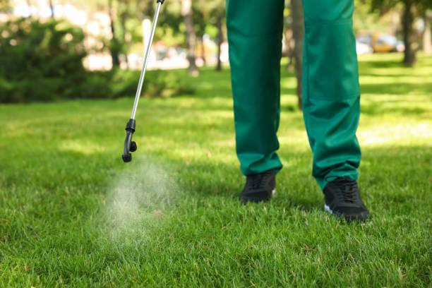 Grand Rapids, MN Pest Control Company