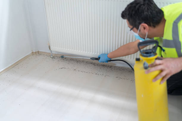 Best Bed Bug Extermination  in Grand Rapids, MN