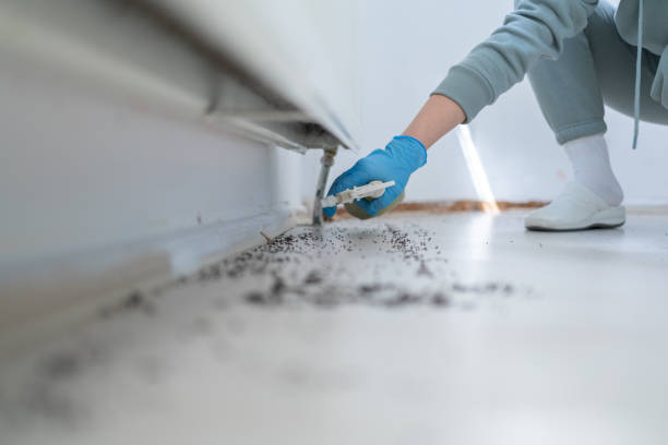 Pest Control Cost in Grand Rapids, MN